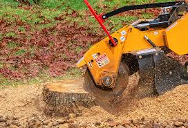 Best Lawn Drainage Solutions  in Denver City, TX