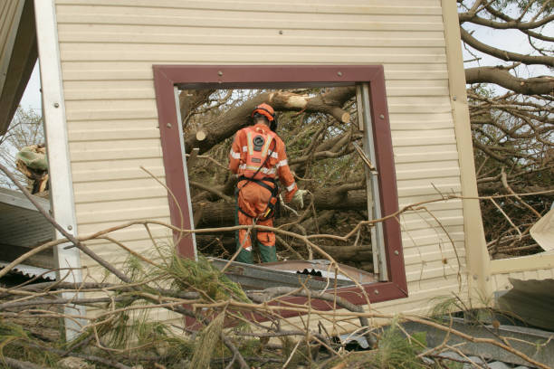 Best Emergency Tree Removal  in Denver City, TX