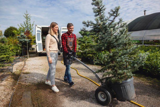 Best Tree Mulching  in Denver City, TX