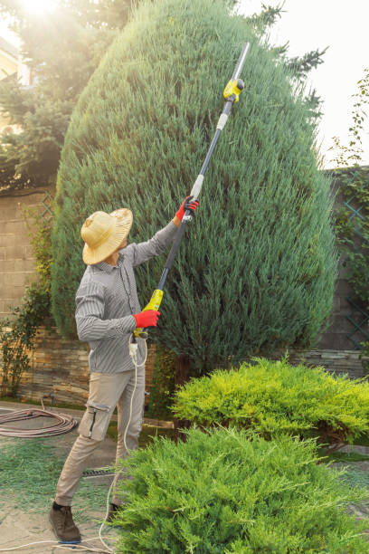 Best Aeration Services  in Denver City, TX